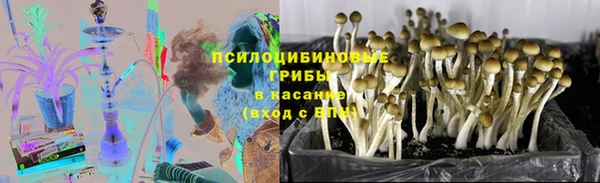 дживик Переславль-Залесский