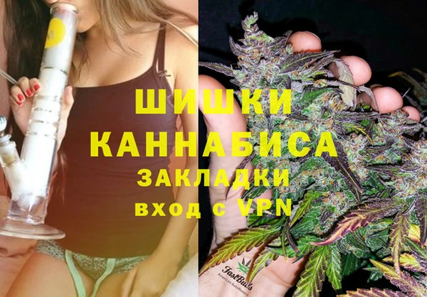 бошки Осташков
