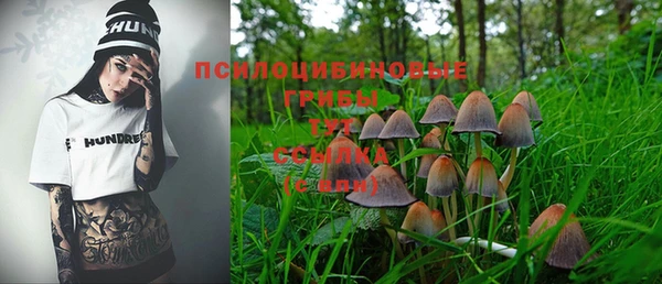 бошки Осташков