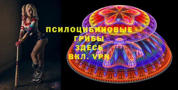 бошки Осташков